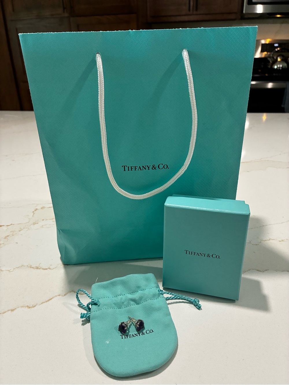 Tiffany & Co. Silver Stud Earrings with Purple Gemstones on Tiffany Blue Pouch